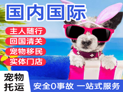丹东浪头航空邮寄国际宠物托运 【国